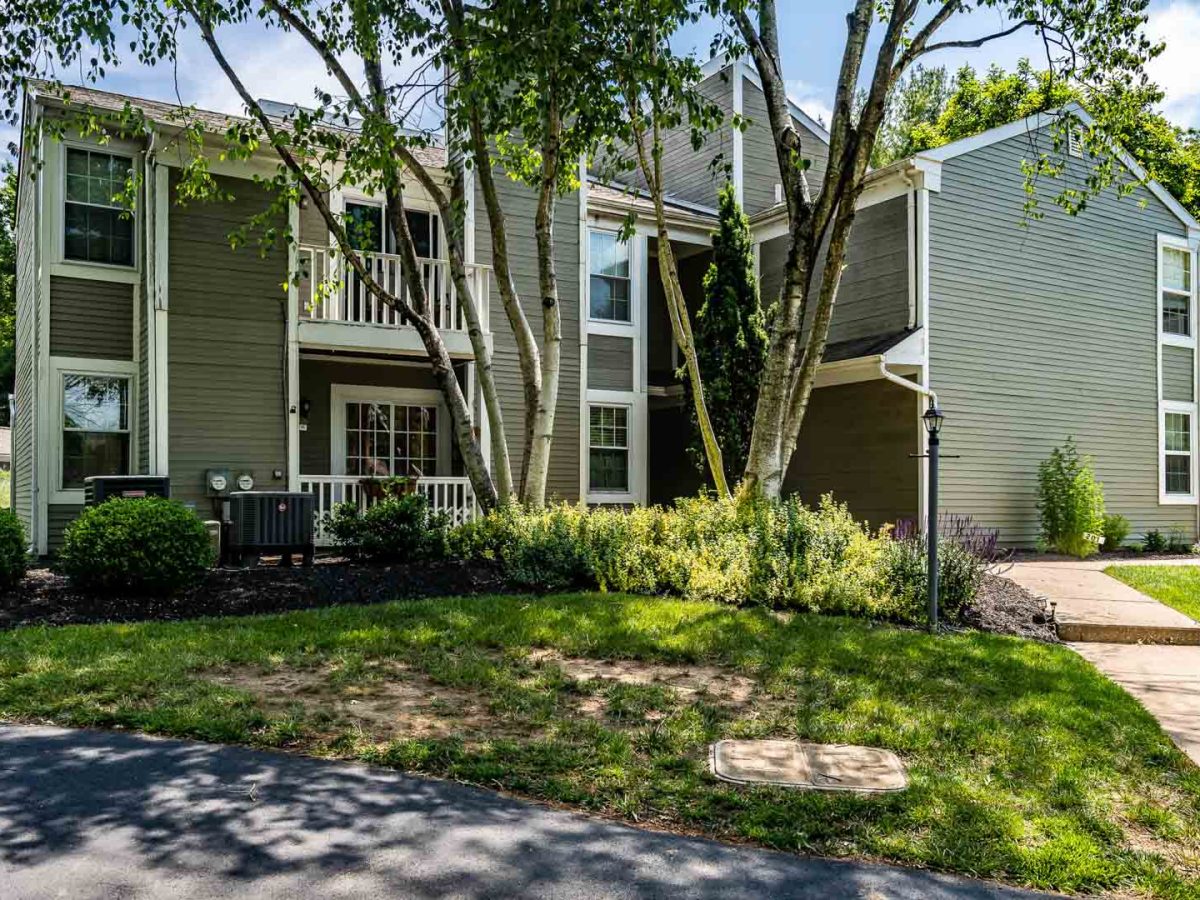 205_MCINTOSH_RD-300